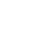 Mold spores and microbial contamination