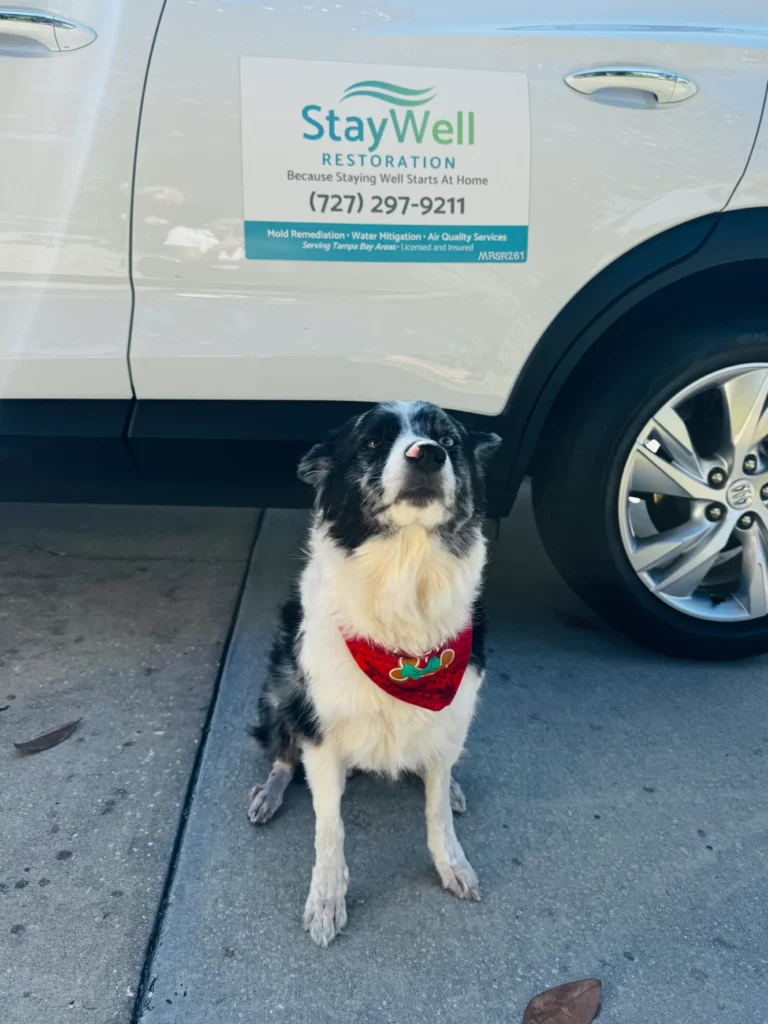 Company vehicle during residential service visit