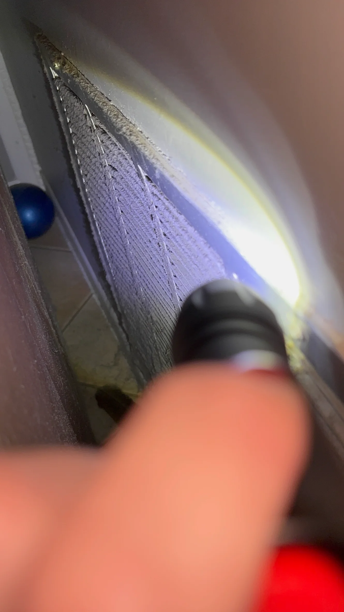 Wall surface inspection for mold activity