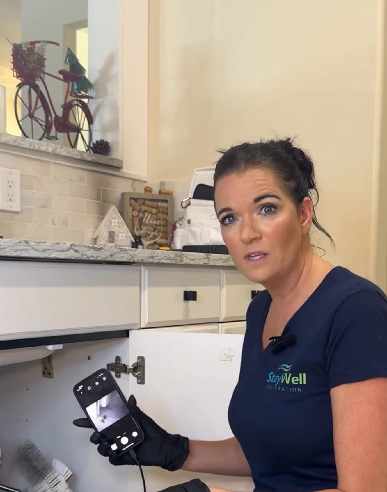 Homeowner consultation about indoor air quality results