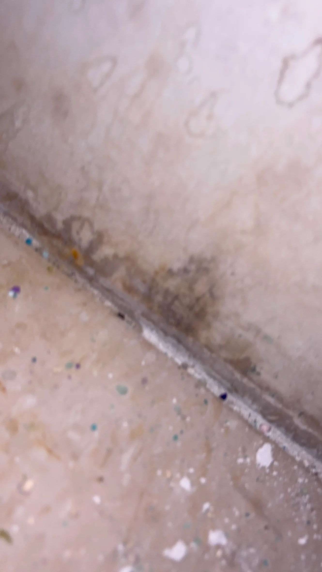 Florida home mold issue identified during inspection